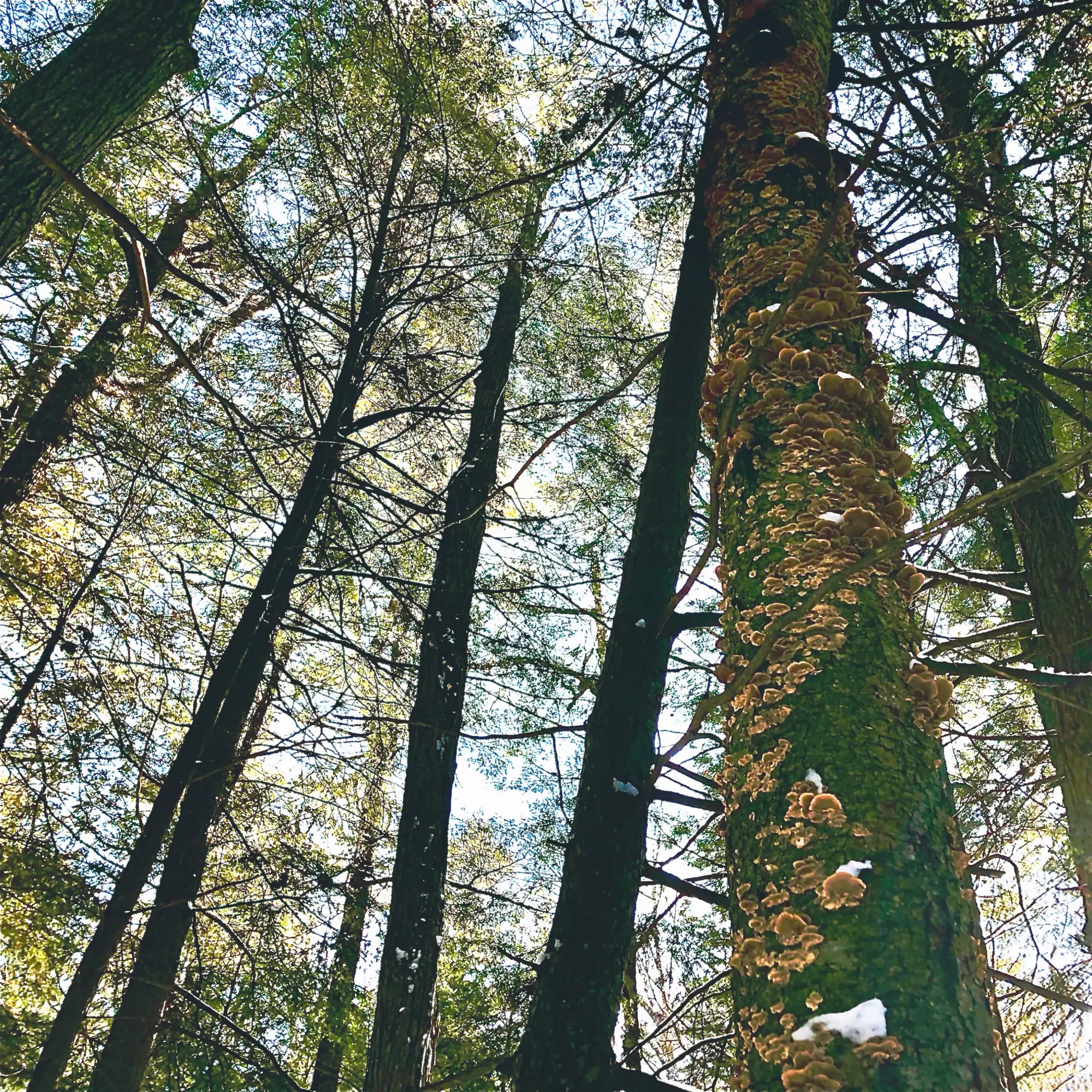 10 Simple Ways to Be Better to the Earth This April