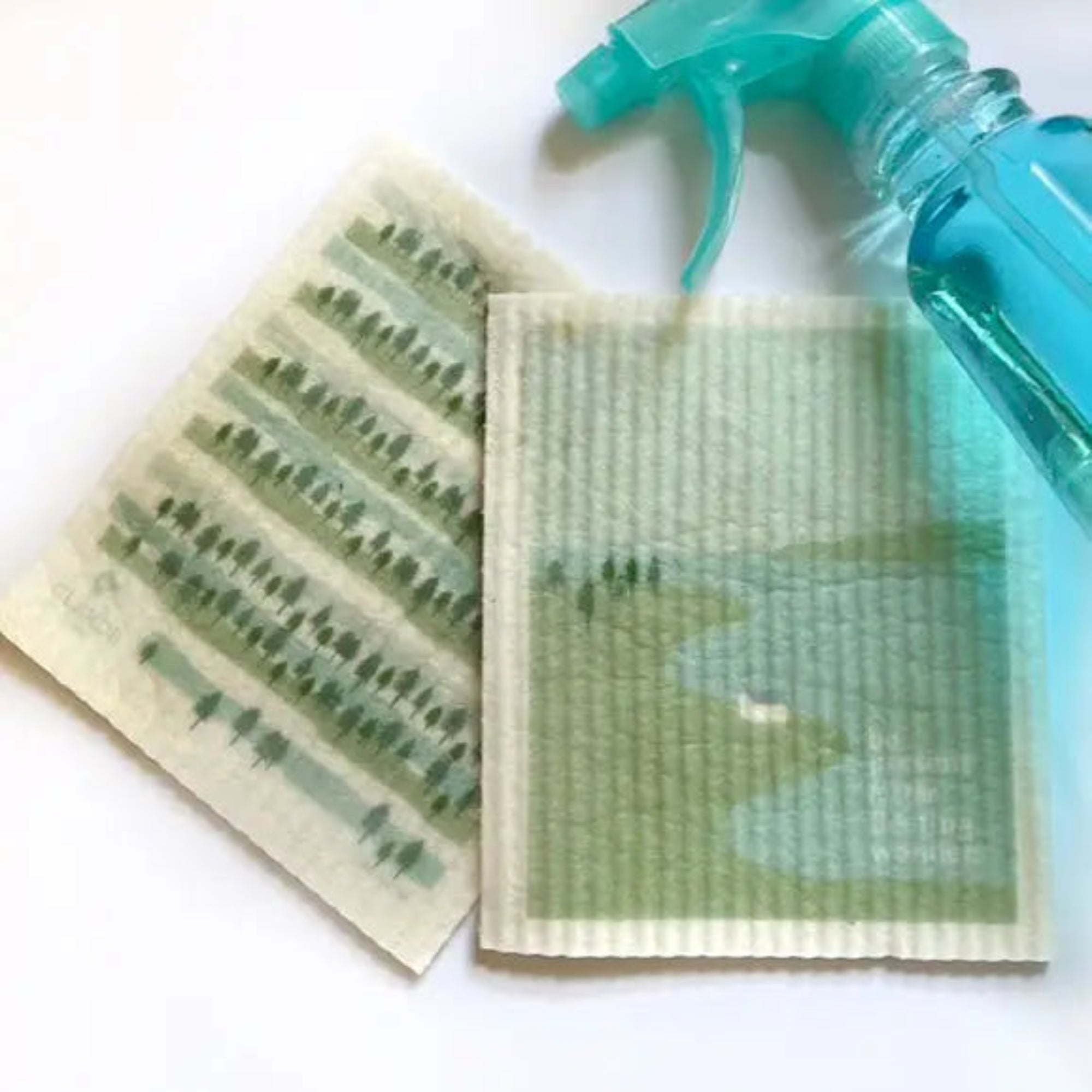 Be present for fleeting wonders Clards—greetings that turn into reusable cleaning cloths soakitup.shop